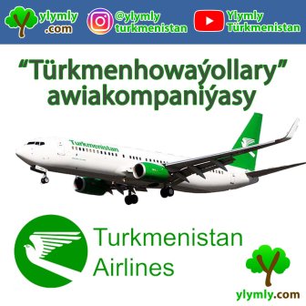 “Türkmenhowaýollary”